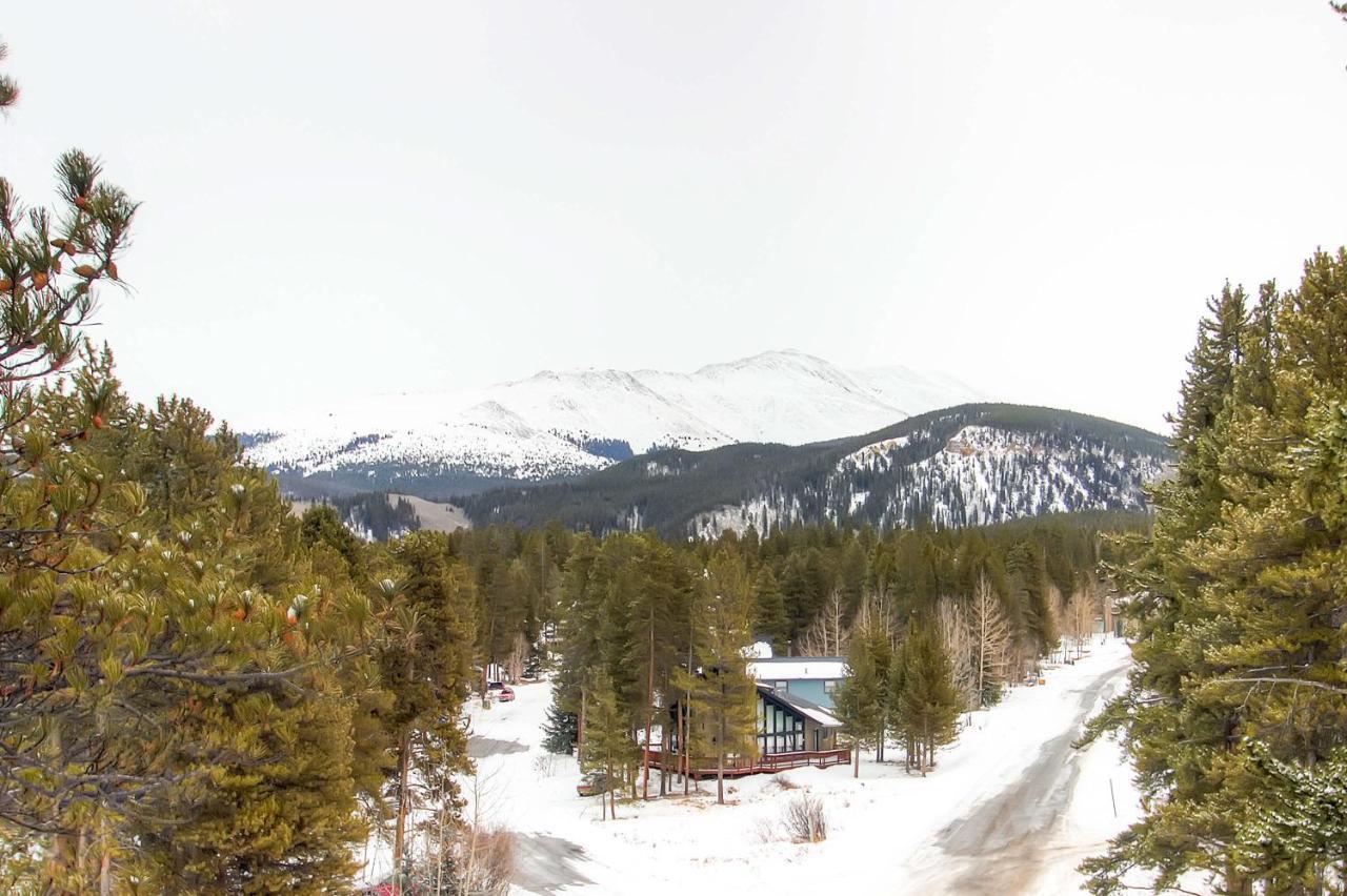 Mark IX #8 - Close To Town - Free Shuttle Breckenridge Exterior photo